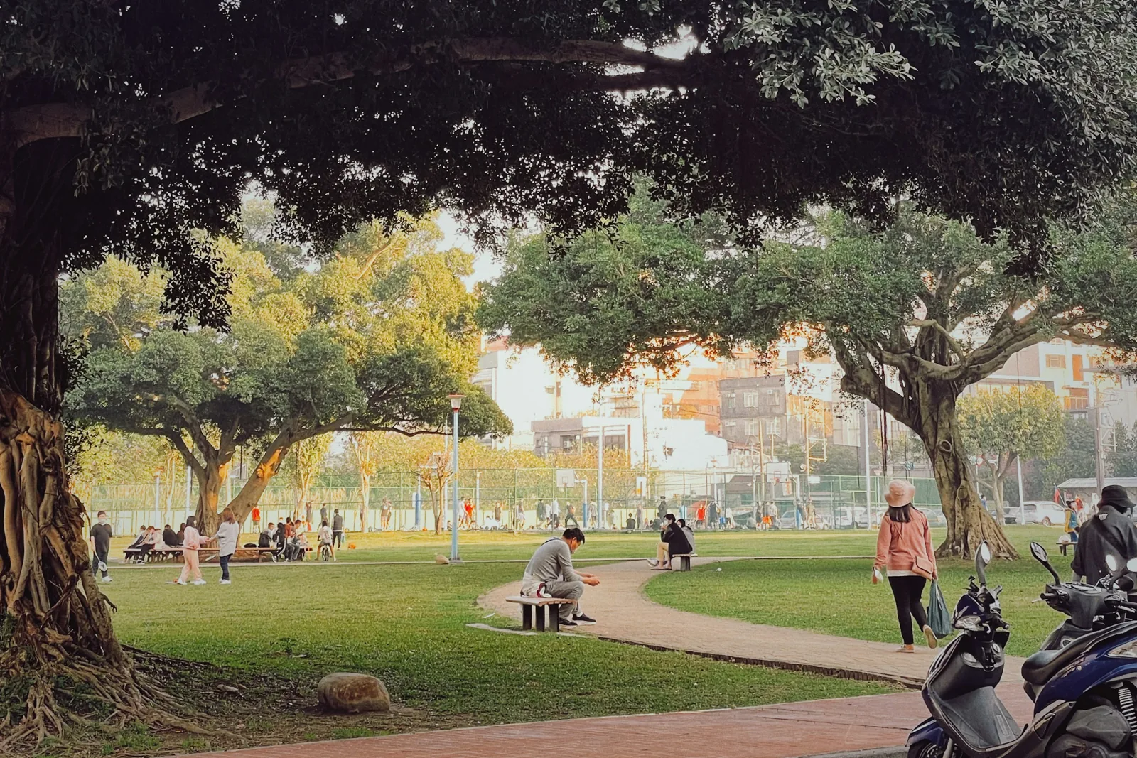 桃園中壢公園大樹下散步與休息的民眾